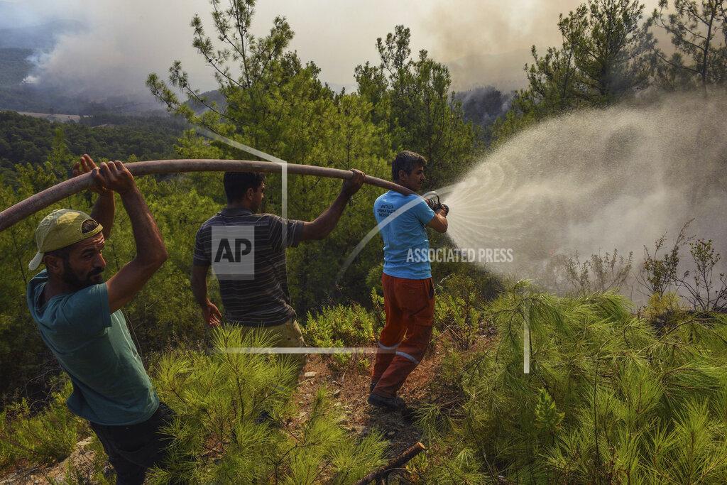Uncredited Villagers water trees to stop the wildfires that continue to rage the forests in Manavgat, Antalya, Turkey, early Sunday, Aug. 1, 2021. The fires in Antalya were continuing overnight in Manavgat and Gundogmus districts. In Bodrum, Mugla, they continued to burn down forests, encroaching on villages and tourist destinations and forcing people to evacuate by boats. (AP Photo)