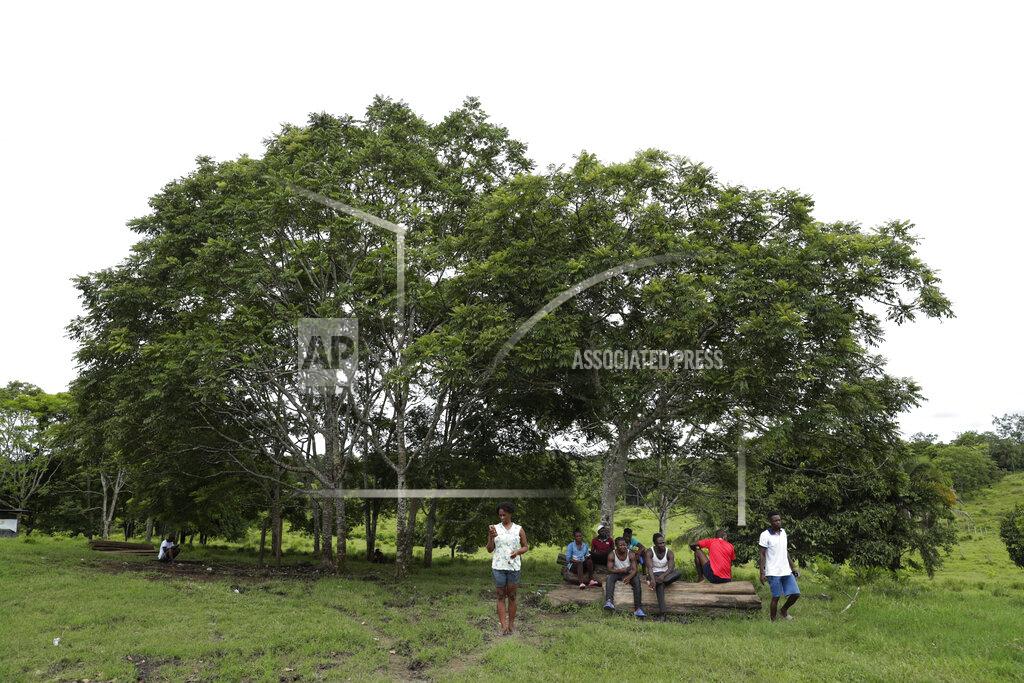 Arnulfo Franco Migrants gather under trees at a migrant camp amid the new coronavirus pandemic in Lajas Blancas, Darien Province, Panama, Saturday, Aug. 29, 2020. Nearly 2,000 migrants from Haiti and a handful of African and Asian countries are stuck in camps in the jungle along Panama's northern and southern borders because the new coronavirus pandemic has forced a halt on migration. (AP Photo/Arnulfo Franco)