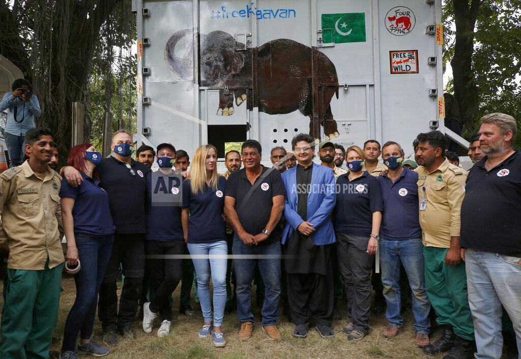 Anjum Naveed Pakistani wildlife workers, officials and experts from the international animal welfare organization Four Paws, pose for photograph next to a crate holding an elephant named Kaavan before he is transported to a sanctuary in Cambodia, at the Marghazar Zoo in Islamabad, Pakistan, Sunday, Nov. 29, 2020. Kavaan, the world's loneliest elephant, became a cause celebre in part because America's iconic singer and actress Cher joined the battle to save him from his desperate conditions at the zoo. (AP Photo/Anjum Naveed)