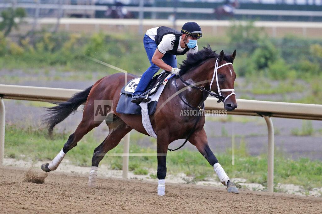 Seth Wenig FILE - In this Thursday, June 18, 2020, file photo, Belmont Stakes hopeful Dr Post works out on a track at Belmont Park in Elmont, N.Y. Dr Post, runner up in the Belmont Stakes, is one of the favorities in Saturday's July 18 Haskell Stakes horse race at Monmouth Park Racetrack in Oceanport, N.J. (AP Photo/Seth Wenig, File)