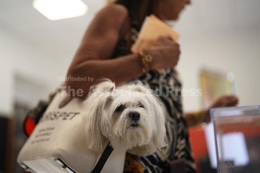 Spanish voters make their choice in an election that co... - Vimarsana News