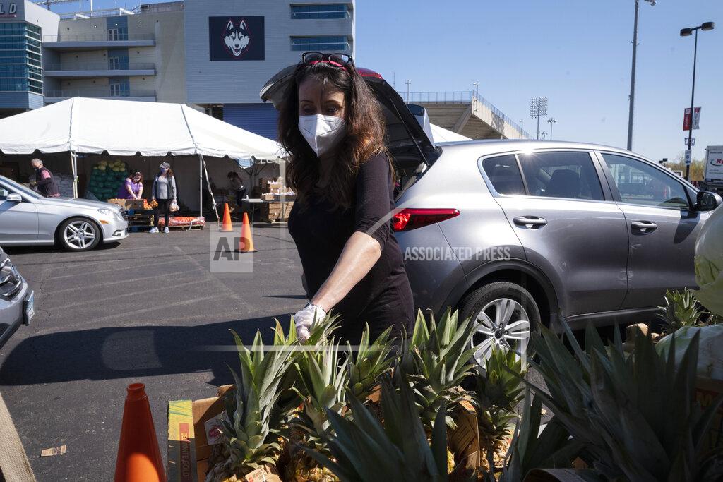 A volunteer picks up pineapples to hand off to slowly moving vehicles at a Foodshare distribution center at Rentschler Field in East Hartford, Conn., Thursday, May 7, 2020, during the coronavirus pandemic. Foodshare has been offering the emergency drive-thru distribution for three weeks and said that as the lines continue to grow, they provide food to approximately 1,200 households per day. (AP Photo/Mark Lennihan)