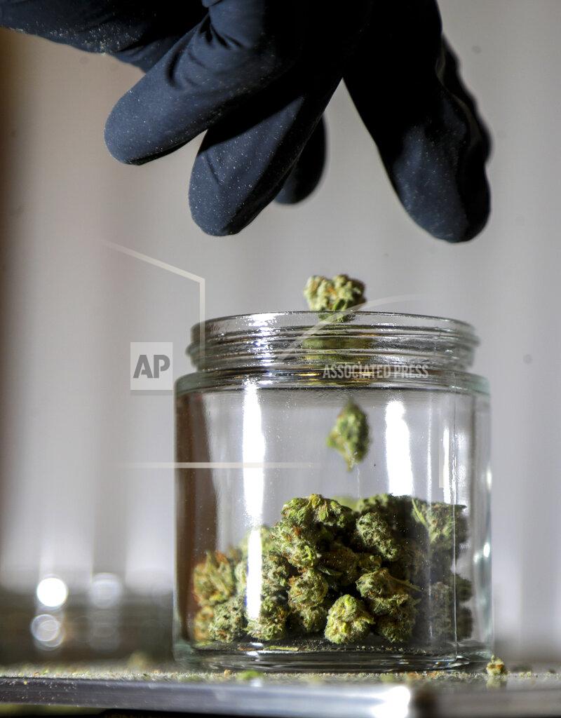 Julio Cortez FILE - In this March 22, 2019 file photo, shows marijuana buds being sorted into a prescription jar at Compassionate Care Foundation's medical marijuana dispensary in Egg Harbor Township, N.J. Voters in four states could embrace broad legal marijuana sales on Election Day, setting the stage for a watershed year for the industry that could snowball into neighboring states as well as reshape policy on Capitol Hill. The Nov. 3, 2020, contests will take place in markedly different regions of the country, New Jersey, Arizona, South Dakota and Montana and approval of the proposals would highlight how public acceptance of cannabis is cutting across geography, demographics and the nation's deep political divide. (AP Photo/Julio Cortez, File)