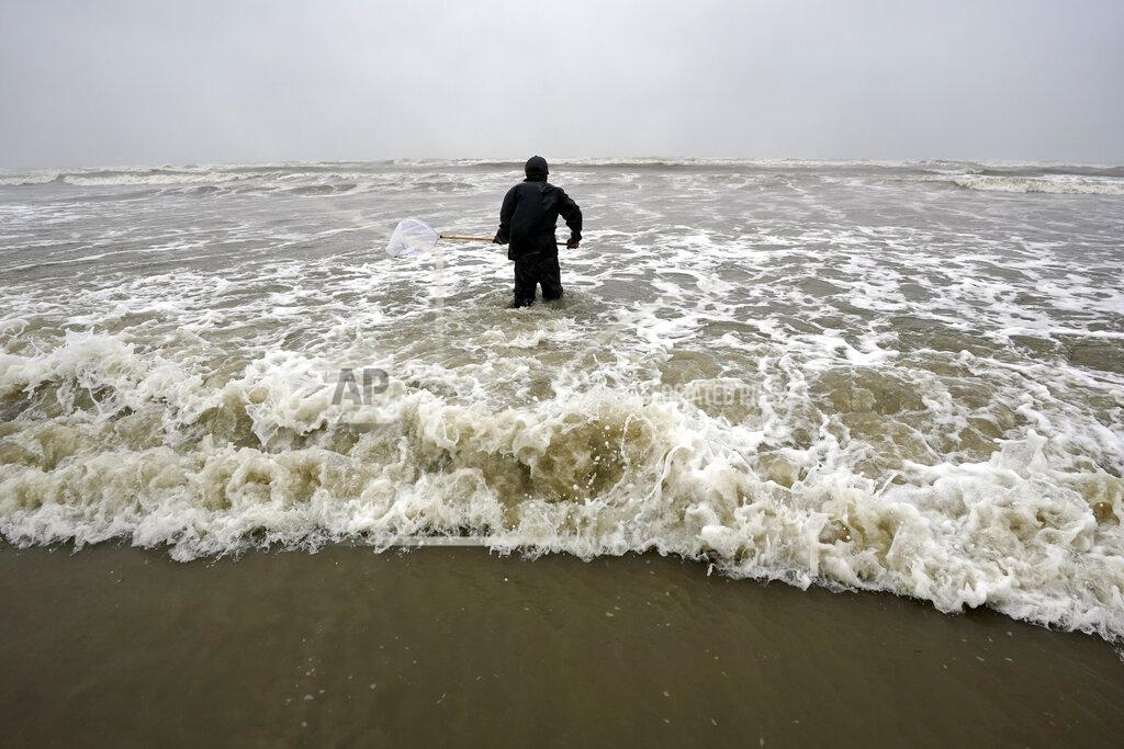 David J. Phillip Daniel fishes in the Gulf of Mexico as winds from what was Hurricane Nicholas continue to push waves closer to shore Tuesday, Sept. 14, 2021, in Galveston, Texas. (AP Photo/David J. Phillip)