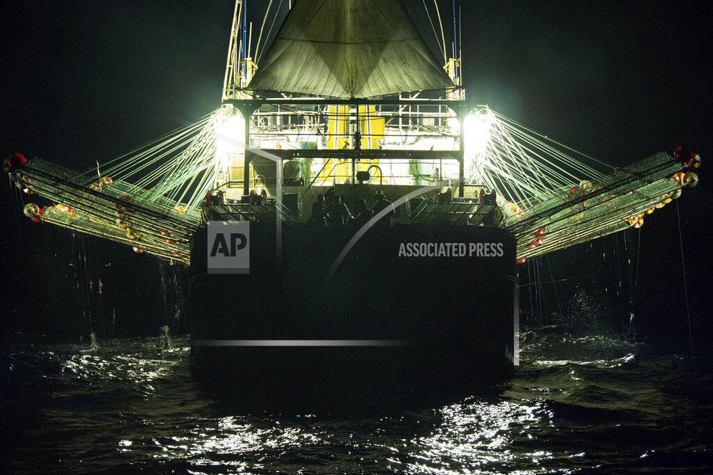Isaac Haslam In this July 2021 photo provided by Sea Shepherd, a Chinese-flagged ship fishes for squid at night on the high seas off the west coast of South America. The number of Chinese-flagged vessels in the south Pacific has surged 10-fold from 54 active vessels in 2009 to 557 in 2020, according to the South Pacific Regional Fisheries Management Organization, or SPRFMO, an inter-governmental group of 15 members charged with ensuring the conservation and sustainable fishing of the species. Meanwhile, the size of its catch has grown from 70,000 tons in 2009 to 358,000. (Isaac Haslam/Sea Shepherd via AP)