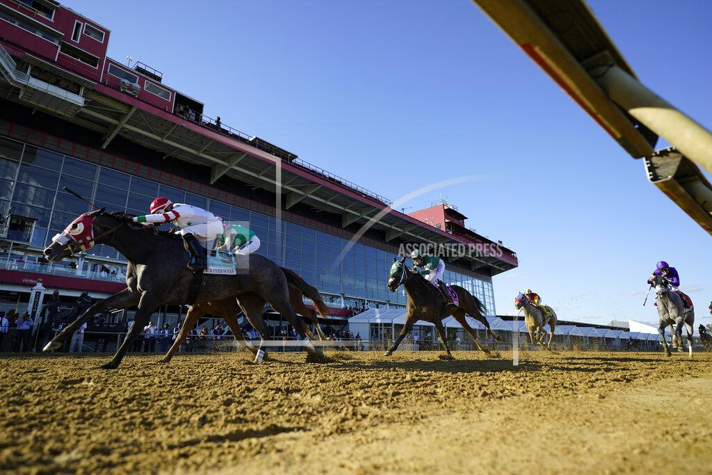 Steve Helber Miss Marissa (9), with Daniel Centeno aboard, wins the Black Eyed Susan horse race at Pimlico Race Course, Saturday, Oct. 3, 2020, in Baltimore. (AP Photo/Steve Helber)