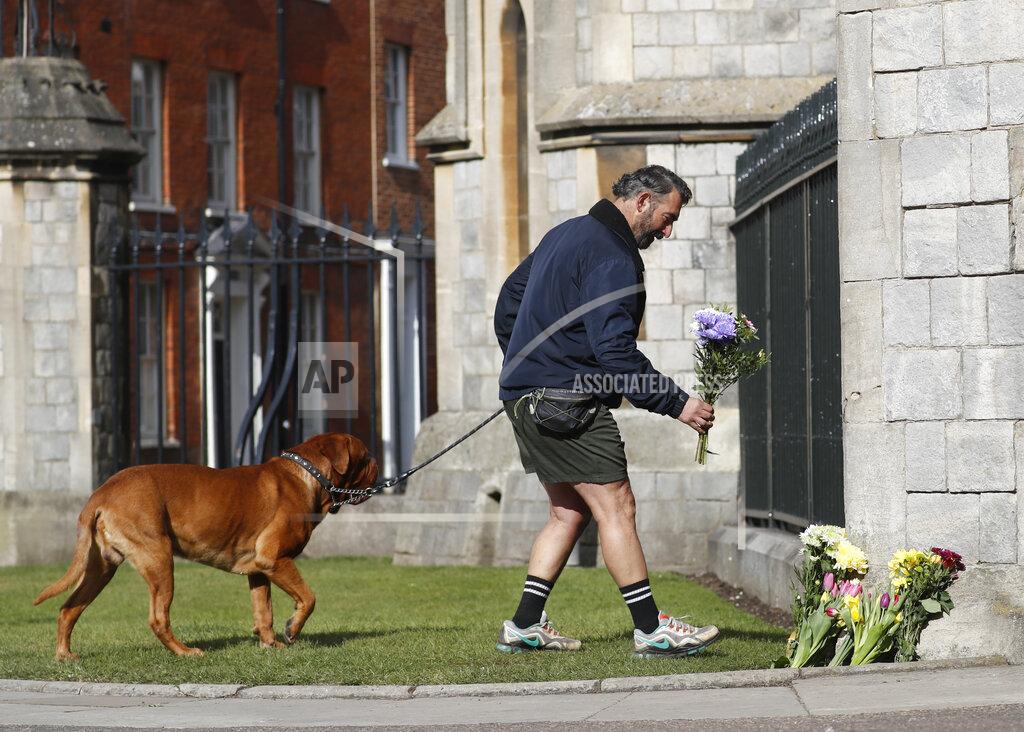 Alastair Grant A man lays bunch of flowers in tribute to Prince Philip outside Windsor Castle In Windsor, England, Friday, April 16, 2021. Prince Philip husband of Britain's Queen Elizabeth II died April 9, aged 99, his funeral will take place Saturday at Windsor Castle in St George's Chapel. (AP Photo/Alastair Grant)
