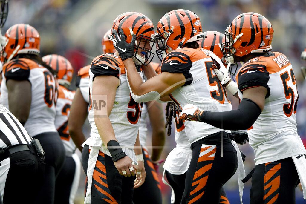 Gail Burton Cincinnati Bengals outside linebacker Nick Vigil, center left, is congratulated by defensive tackle defensive end Carl Lawson after recovering a fumble by Baltimore Ravens tight end Mark Andrews during the first half of a NFL football game Sunday, Oct. 13, 2019, in Baltimore. (AP Photo/Gail Burton)