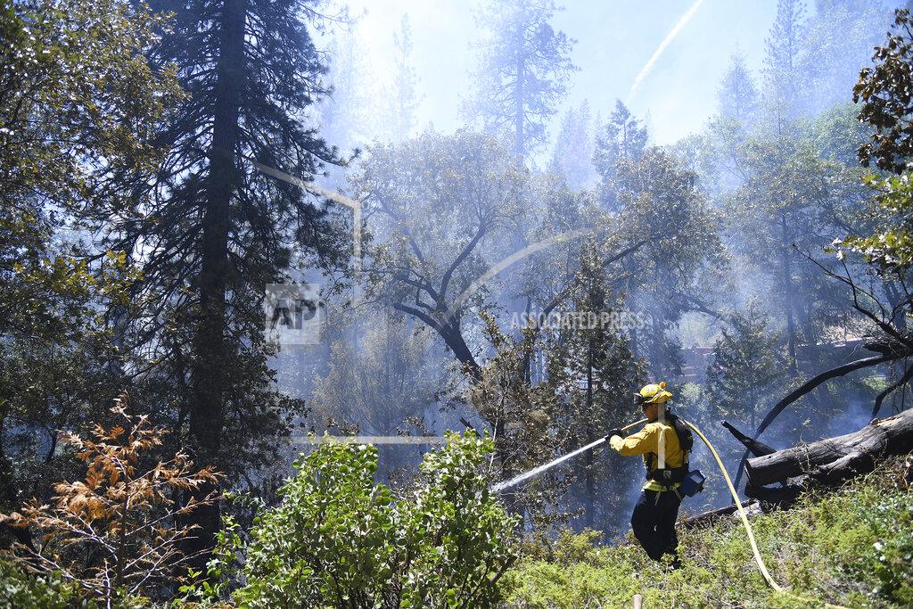 Elias Funez A Nevada City based Cal Fire firefighter uses a hose to help tamp down the Golden Fire, which burned 25 acres just south of Camptonville, Calif. Friday, May 20, 202. (Elias Funez/The Union via AP)