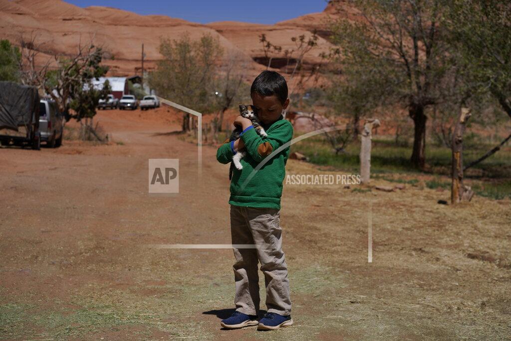 Carolyn Kaster A boy holds a kitten named "Popcorn Ball" in front of his home in Oljato-Monument Valley, Utah, on the Navajo reservation on April 27, 2020. The reservation has some of the highest rates of coronavirus in the country. If Navajos are susceptible to the virus' spread in part because they are so closely knit, that's also how many believe they will beat it. (AP Photo/Carolyn Kaster)