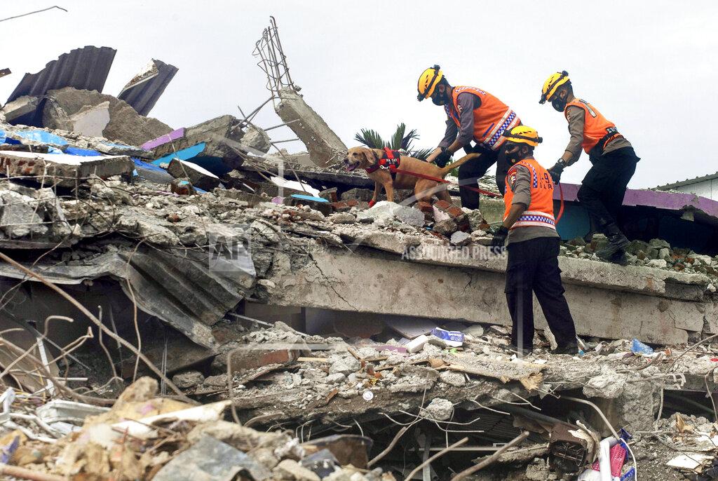 Yusuf Wahil Members of police K-9 squad lead a sniffer dog during a search for victims at a hospital building collapsed in Friday's earthquake in Mamuju, West Sulawesi, Indonesia, Sunday, Jan. 17, 2021. Rescuers retrieved more bodies from the rubble of homes and buildings toppled by the 6.2 magnitude earthquake while military engineers managed to reopen ruptured roads to clear access for relief goods. (AP Photo/Yusuf Wahil)