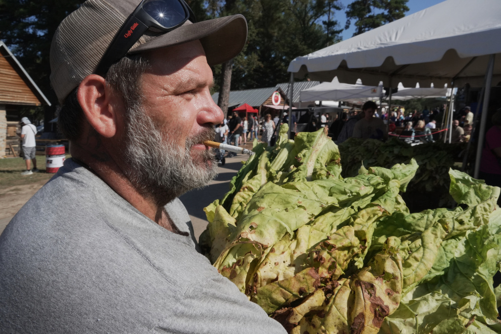 Josh Ramsey, an employee at the Oxford Tobacco Research Station, smokes a cigarette as he carries a bundle of tobacco leaves for the annual tobacco stringing contest at the State Fair in Raleigh, N.C., on Friday, Oct. 16, 2026. (AP Photo/Allen G. Breed)