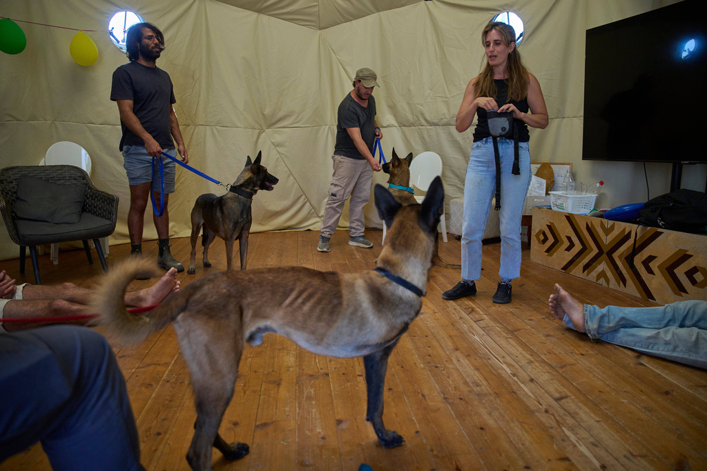 Israeli soldiers interact with dogs at a farm in central Israel run by Back2Life, a group helping soldiers combat mental health problems, in Kibbutz Sdot Yam, Israel, on Oct. 16, 2025. (AP Photo/Ohad Zwigenberg)