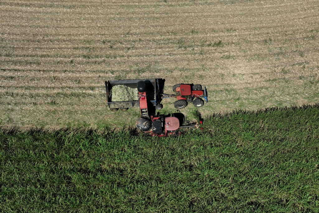 Workers load a tractor during a seedling harvest on a sugarcane plantation at Bom Retiro Farm in Artur Nogueira, Brazil, Tuesday, March 24, 2026. (AP Photo/Andre Penner)