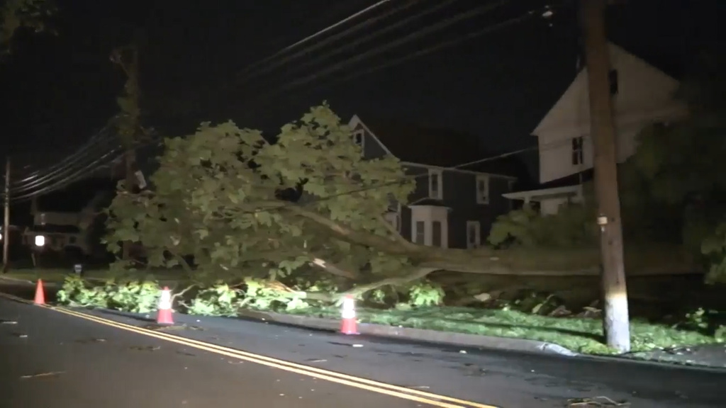 This frame grab from video shows a downed tree after storms struck Amherst, Ohio, west of Cleveland on Wednesday, June 10, 2026. (AP Photo/Courtesy WEWS/NEWS5) TELEVISION OUT