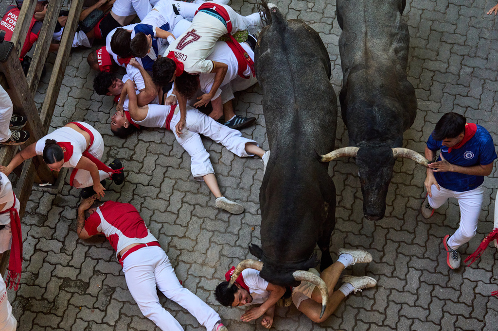 Revelers fall next to Jose Escolar's fighting bulls during the fifth running of the bulls at the San Fermín festival in Pamplona, Spain, Saturday, July 11, 2026. (AP Photo/Miguel Oses)
