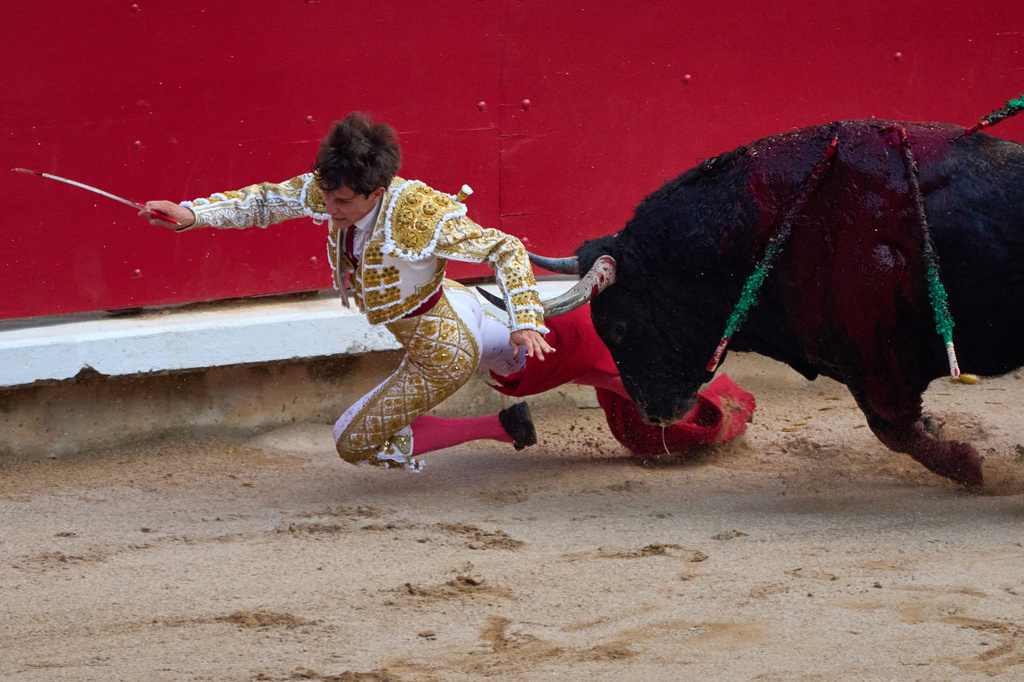 Spanish bullfighter Aarón Palacio falls during a bullfight at the San Fermín festival in Pamplona, northern Spain, Tuesday, July 7, 2026. (AP Photo/Miguel Oses)