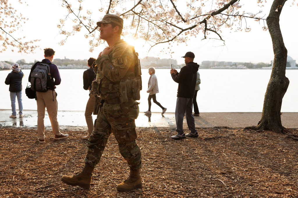 FILE - A member of the Mississippi National Guard walks among the cherry blossom trees along the tidal basin on the National Mall on Thursday, March 26, 2026, in Washington. (AP Photo/Tom Brenner, File)