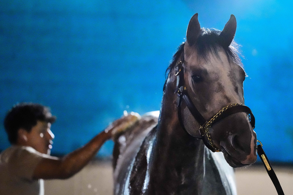 Kentucky Derby entrant Fulleffort gets a bath after a workout at Churchill Downs Monday, April 27, 2026, in Louisville, Ky. (AP Photo/Charlie Riedel)