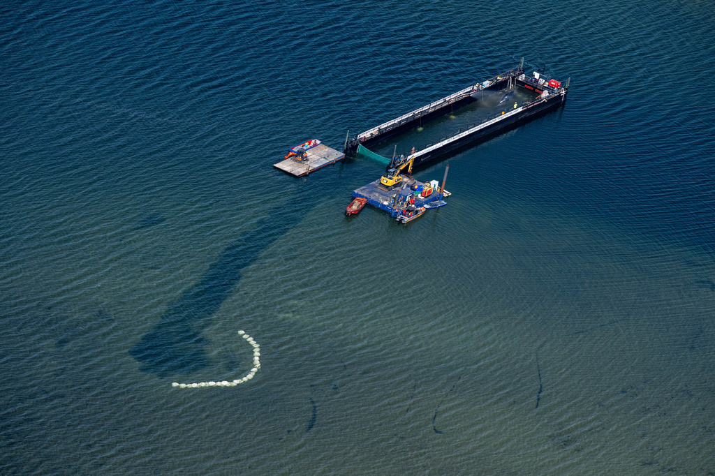 The humpback whale, stranded in the Baltic Sea, has arrived in the barge intended for its transportation near the island of Poel, Germany, Tuesday, April 28, 2026. (Stefan Sauer/dpa via AP)