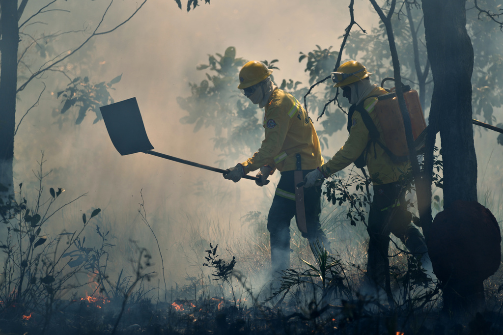 Xerente Indigenous firefighters attend a controlled burn as part of a fire prevention operation along Brazil's environmental protection agency, IBAMA, at the Xerente territory, near Tocantinia, Tocantins state, Brazil, Tuesday, May 19, 2026. (AP Photo/Andre Penner)