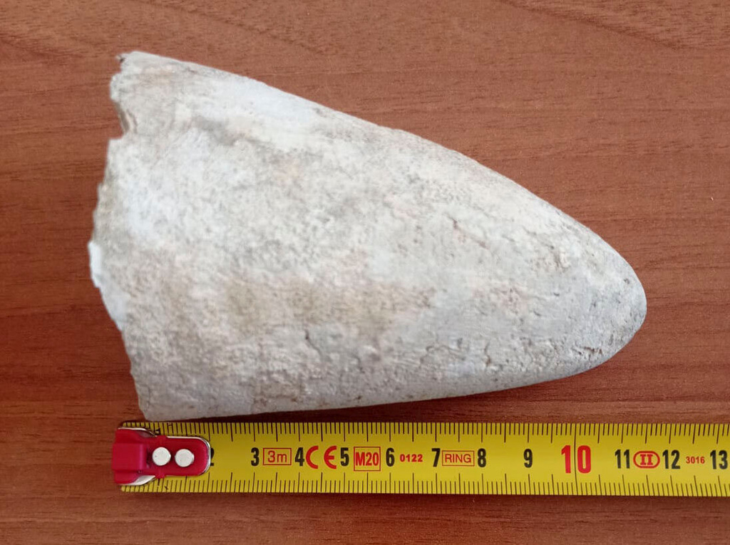 This image released by the Rome Municipality on Wednesday, Feb. 18, 2026, shows the 11-centimeter (4-inch) marble fragment that police found in Rome over the weekend near the iconic Elephant and Obelisk monument, designed by Baroque sculptor Gian Lorenzo Bernini, which was missing the tip of its left tusk. (Comune di Roma via AP, HO)