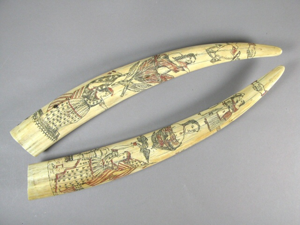 This undated photo provided by the Oakland Museum of California Thursday, Oct. 30, 2025, shows a pair of scrimshaw tusks by an unidentified artist at the Oakland Museum of California, in Oakland, Calif. (Leopold Macaya/Oakland Museum of California via AP)
