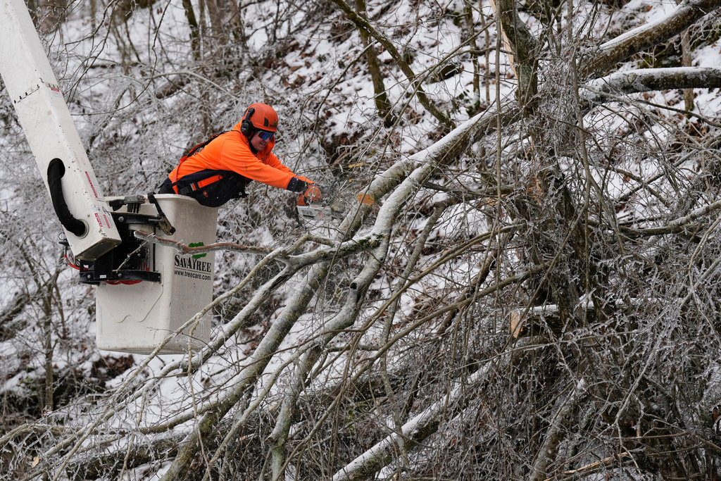 Austin Bradbury uses a chainsaw to remove a tree above a road Friday, Jan. 30, 2026, in Nashville, Tenn. (AP Photo/George Walker IV)
