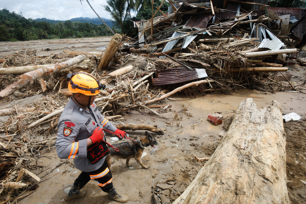 A rescuer leads a sniffer dog during a search operation for flood victims in Batang Toru, North Sumatra, Indonesia, Wednesday, Dec. 3, 2025. (AP Photo/Binsar Bakkara)