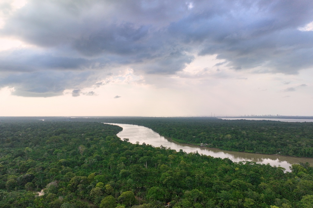 Trees surround the Guama River in Itacoa Miri, Brazil, Tuesday, Nov. 18, 2025. (AP Photo/Fernando Llano)