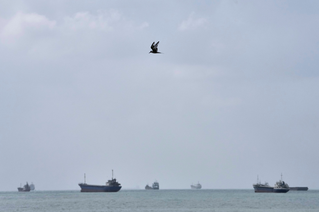 A tern flies over commercial vessels anchored in the Strait of Hormuz off Bandar Abbas, Iran, Friday, Sept. 4, 2026. (AP Photo/Vahid Salemi)
