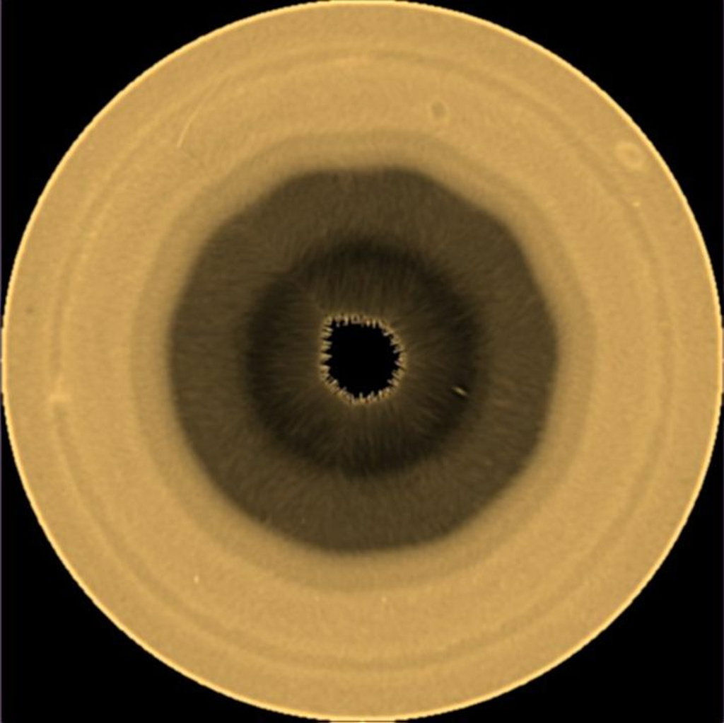 This photo provided by NASA/ESA/A. Sánchez-Lavega (Basque Country University) shows a pattern of clouds around the Saturn's south pole on Saturday, Aug. 29, 2026. (NASA/ESA/A. Sánchez-Lavega, Basque Country University, EHU, via AP)