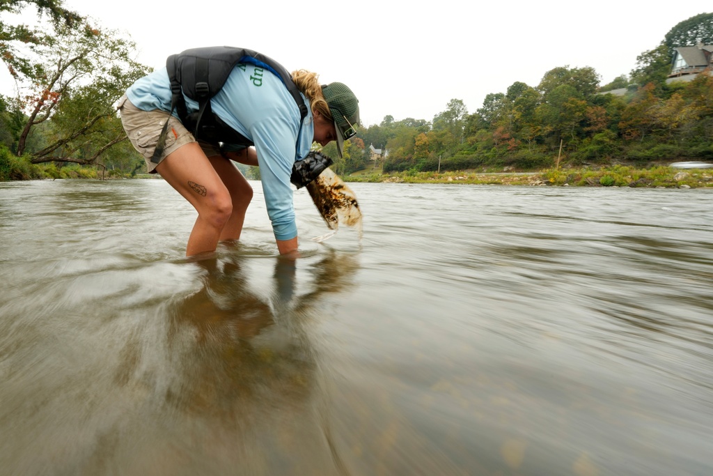 Kendall Garrett, of MountainTrue cleanup crew, removes debris from the French Broad River on Wednesday, Sept. 17, 2025, in Asheville, N.C. (AP Photo/Chris Carlson)