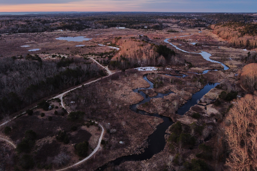 This photo shows the Tidmarsh Wildlife Sanctuary in Plymouth, Mass., Sunday, March 15, 2026. (AP Photo/Stephanie Scarbrough)