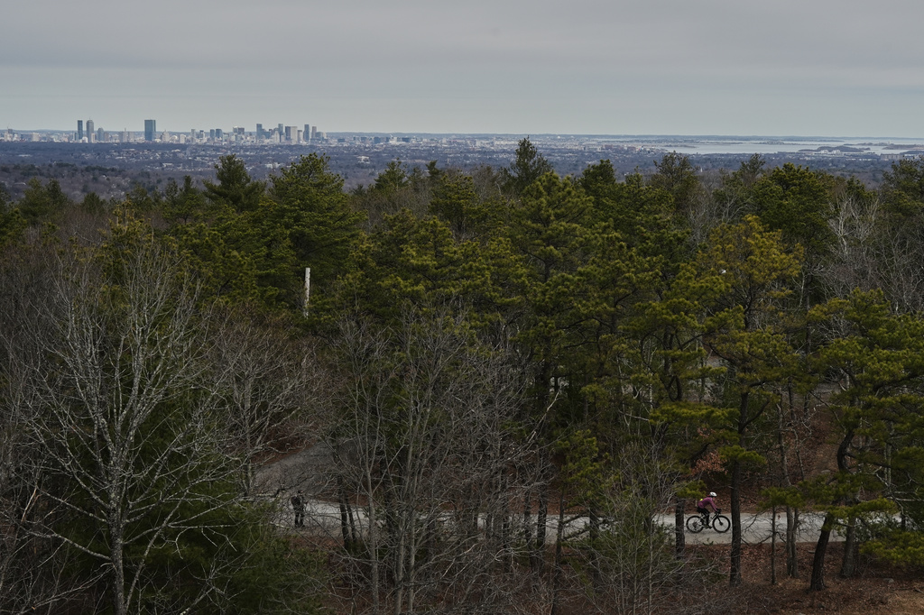 A cyclist rides up a road leading to the Blue Hill Observatory and Science Center, with a view of downtown Boston in the background, Sunday, March 15, 2026, in Milton, Mass. (Laura Martin Agudelo/MIT Graduate Program in Science Writing via AP)