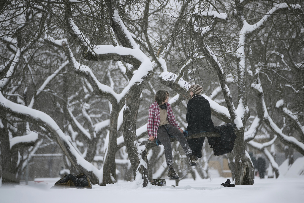 People sit on a tree branch in the snow-covered Kolomenskoye park in Moscow, Russia, Wednesday, Jan. 7, 2026. (AP Photo/Pavel Bednyakov)