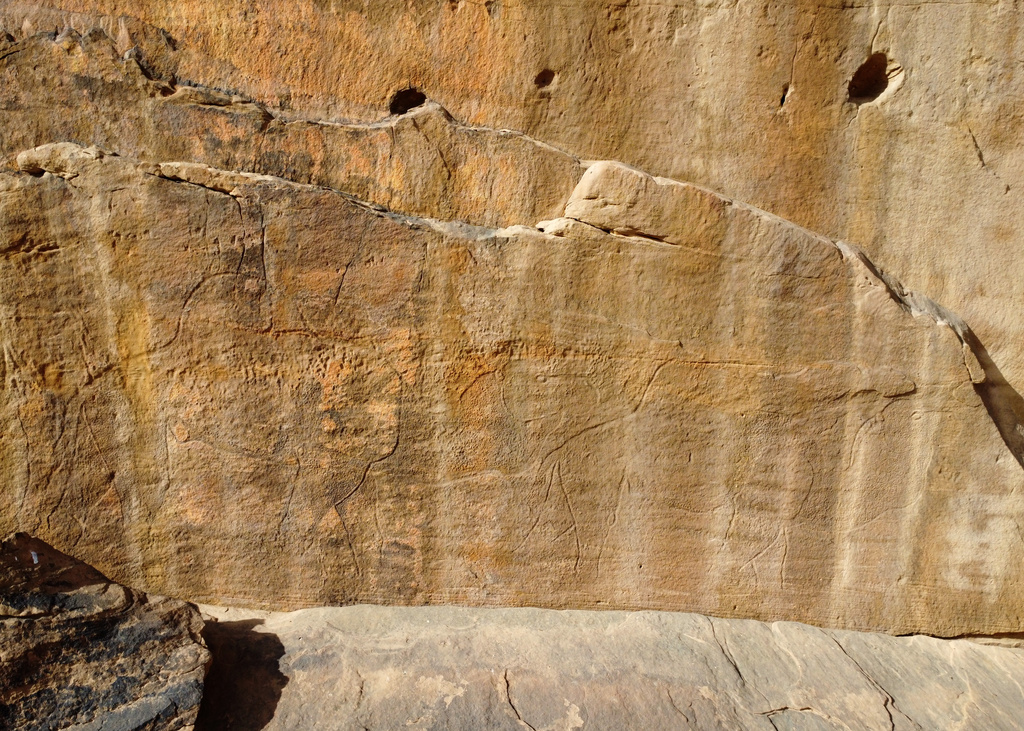 This image provided by Sahout Rock Art and Archaeology Project shows carvings of camels across a rock, in a desert in northern Saudi Arabia in 2023. (Maria Guagnin/Sahout Rock Art and Archaeology Project via AP)