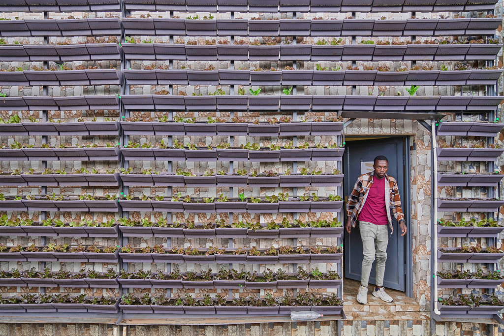 A vertical farm set up in a home compound by Eza Neza, or "Grow Well," which installs vertical farms in the city and describes them as scalable, in Kigali, Rwanda, March 18, 2026. (AP Photo/Brian Inganga)