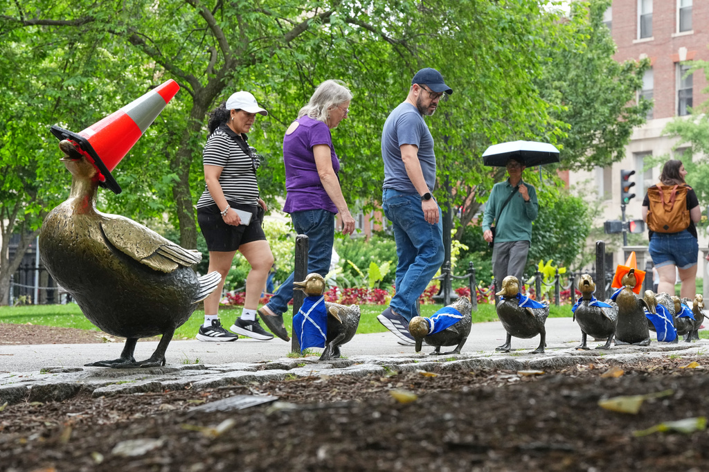 Scotland's fans left the Boston landmark "mother mallard & her ducklings" bronze sculpture decorated with Scottish soccer shirts at a park in the center of Boston, Mass., Monday, June 22, 2026. (AP Photo/Martin Meissner)