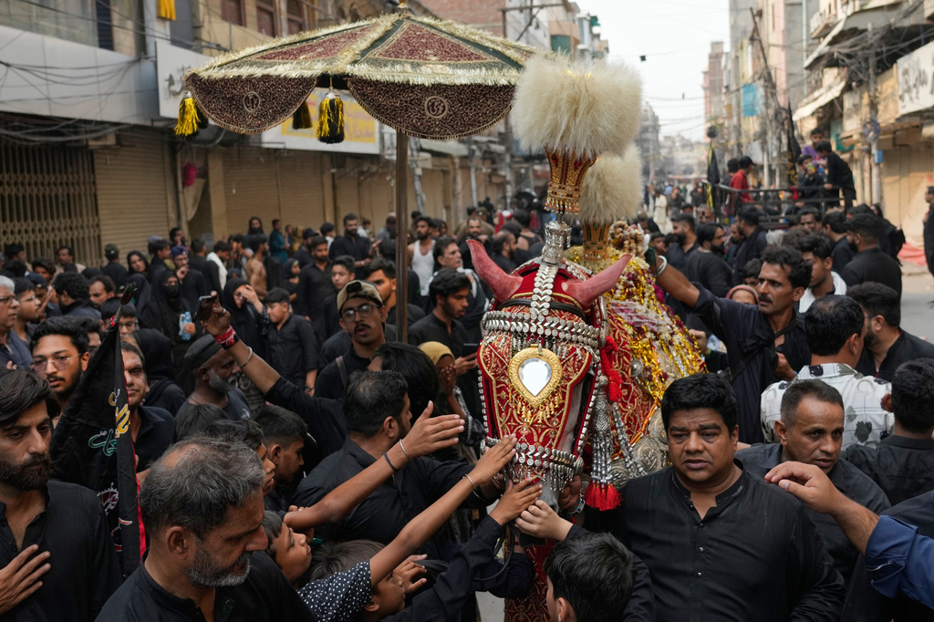 Shiite Muslims touch a horse, that symbolizes the horse that carried Imam Hussein during the battle of Karbala, at a Muharram procession, in Lahore, Pakistan, Wednesday Jun 24, 2026. (AP Photo/K.M. Chaudary)