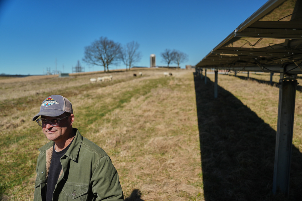 Daniel Bell watches his sheep graze Friday, Feb. 20, 2026, at a farm in Lancaster, Ky. (AP Photo/Joshua A. Bickel)