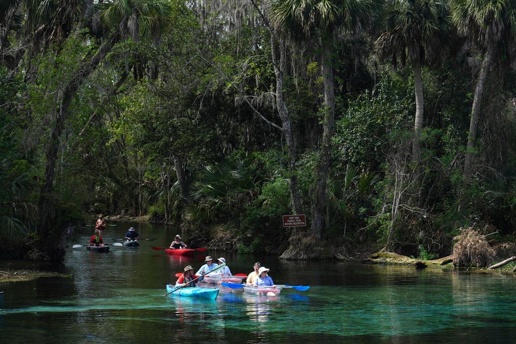 A guide leads kayakers on a tour of Silver Springs on Thursday, March 5, 2026, in Ocala, Fla. (AP Photo/Marta Lavandier)