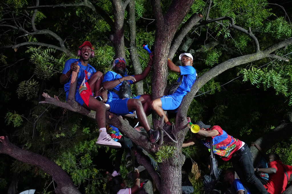 Haitian fans watch the match between Scotland and Haiti from up in a tree during a World Cup viewing party in Port-au-Prince, Haiti, Saturday, June 13, 2026. (AP Photo/Odelyn Joseph)
