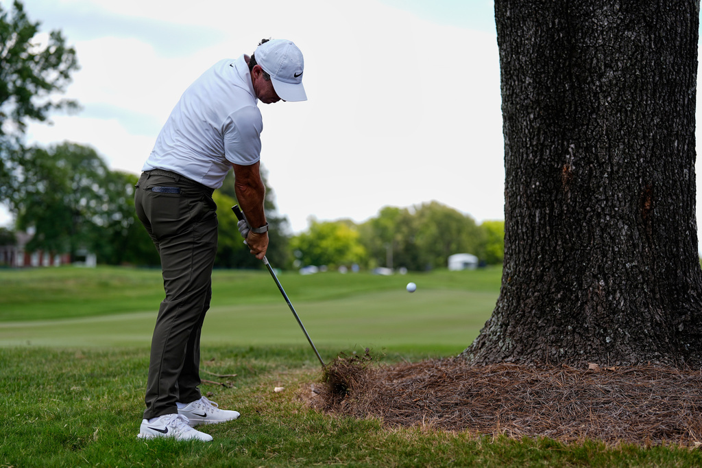Rory McIlroy, of Northern Ireland, hits around a tree on the seventh fairway during the second round of the St. Jude Championship golf tournament Friday, Aug. 14, 2026, in Memphis, Tenn. (AP Photo/George Walker IV)