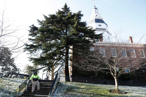 FILE - A worker blows leaves and snow off steps outside of the Maryland Statehouse on the morning of the first day of the state's 2020 legislative session, Jan. 8, 2020, in Annapolis, Md. (AP Photo/Julio Cortez, File) FILE - A worker blows leaves and snow off steps outside of the Maryland Statehouse on the morning of the first day of the state's 2020 legislative session, Jan. 8, 2020, in Annapolis, Md. (AP Photo/Julio Cortez, File)