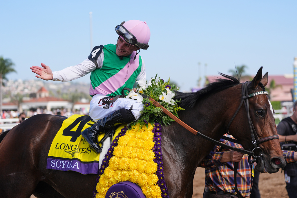Junior Alvarado celebrates after riding Scylla to victory in the Breeders' Cup Distaff horse race on Saturday, Nov. 1, 2025, in Del Mar, Calif. (AP Photo/Gregory Bull)