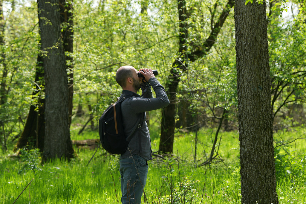 Uros Stojiljkovic from the Bird Protection and Study Society looks through binoculars while watching birds in a small forest dubbed the Nightingale's Forest near the village of Plandiste, in the flat, farming region of Serbia, Thursday, April 16, 2026. (AP Photo/Darko Vojinovic)
