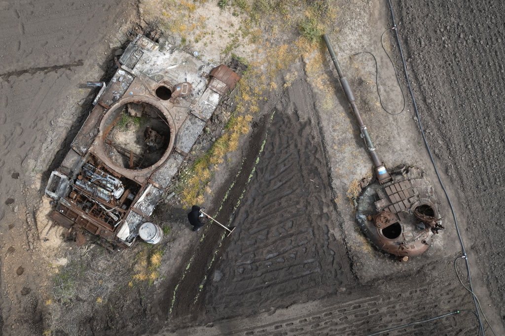 FILE - A man plants sunflowers in his garden near a damaged Russian tank and its turret in Velyka Dymerka, Kyiv region, Ukraine, May 17, 2023. (AP Photo/Efrem Lukatsky, File)