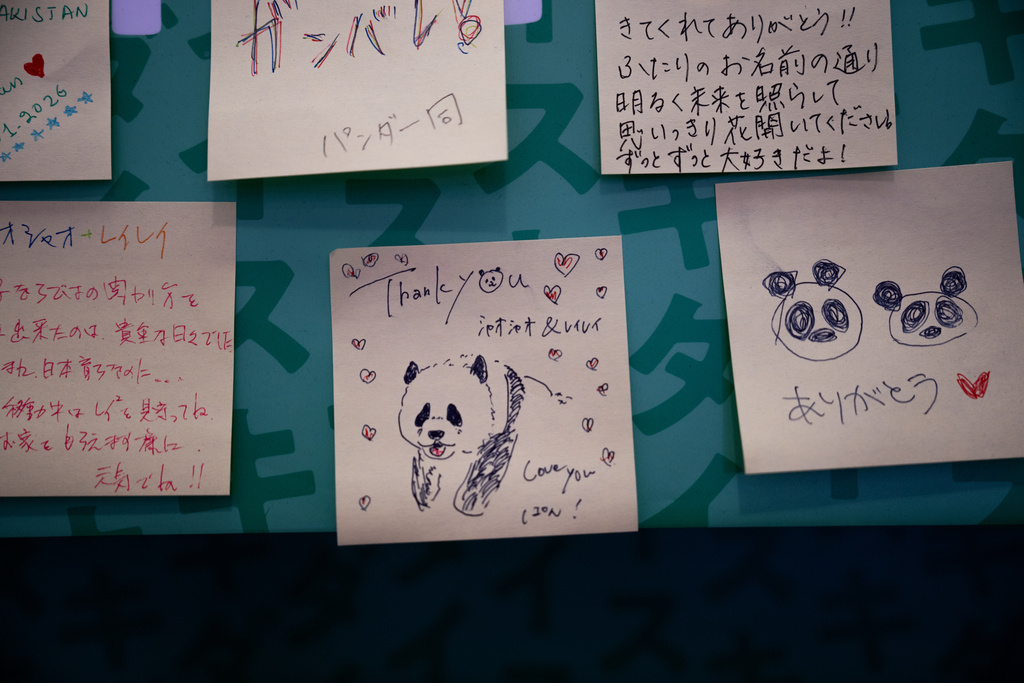Notes with farewell messages are stuck on a wall for Japan's last remaining pandas, Lei Lei and Xiao Xiao, at a shopping mall near Ueno Zoo in Tokyo, Thursday, Jan. 22, 2026. (AP Photo/Louise Delmotte)