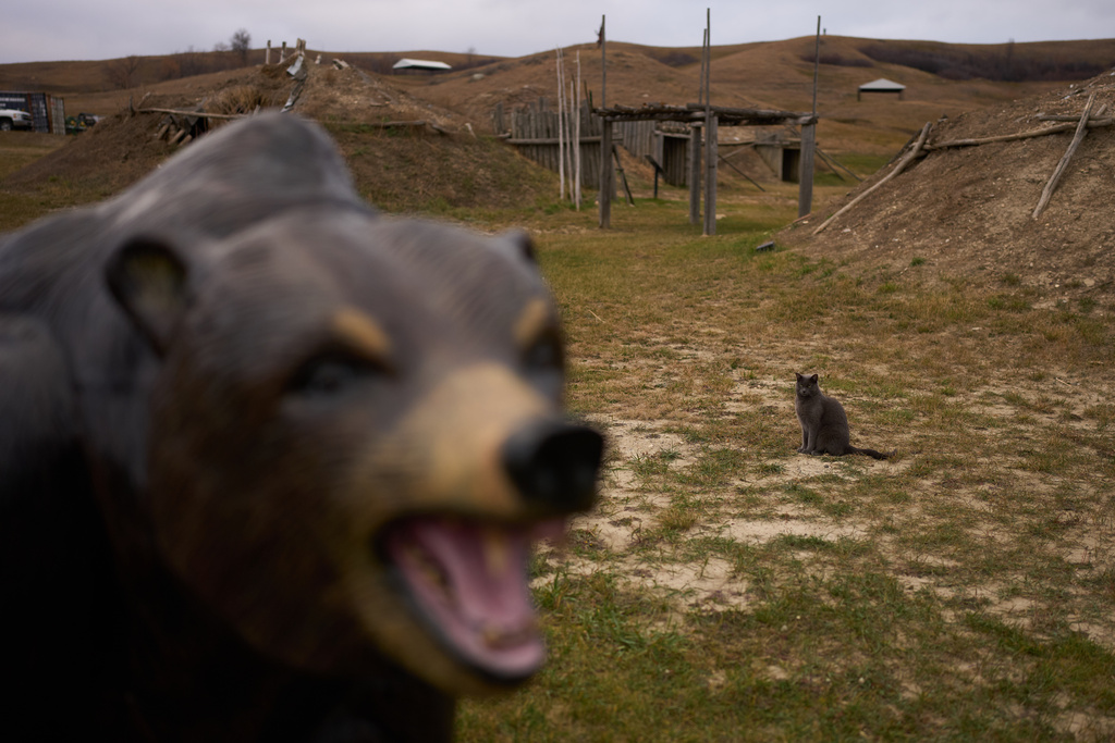 A cat roams around the Earth Lodge Village Friday, Oct. 31, 2025, in New Town, N.D. (AP Photo/John Locher)